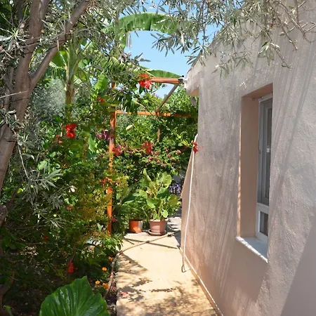 Beyoglu باتارا