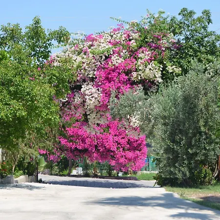 Beyoglu Appartement *