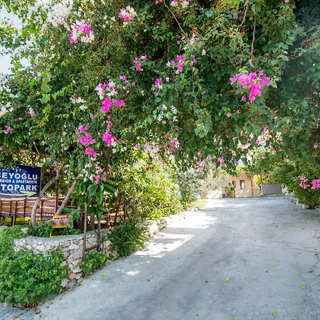 Appartement Beyoglu *