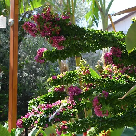 Appartement Beyoglu Patara