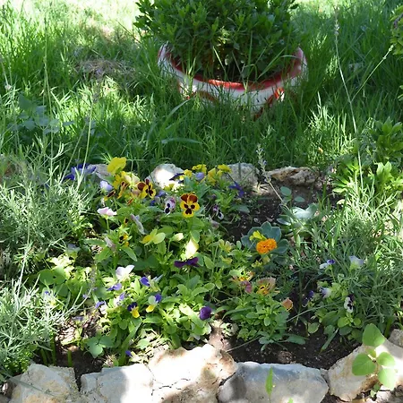 Beyoglu Appartement *