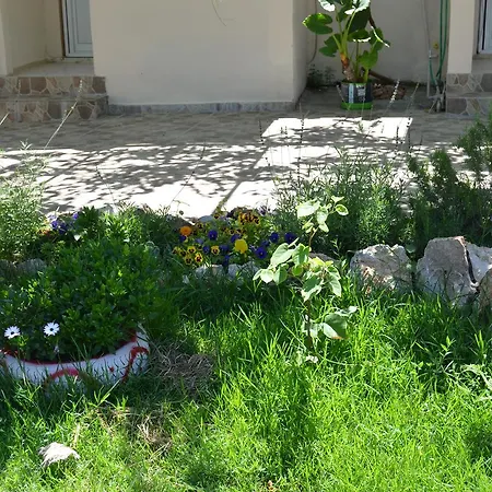 Beyoglu * Patara