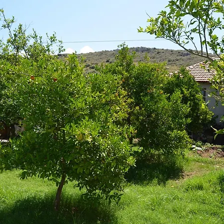 Beyoglu Patara