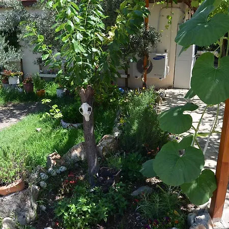 Beyoglu Appartement *