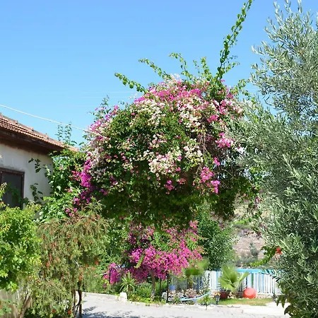 Beyoglu شقة باتارا
