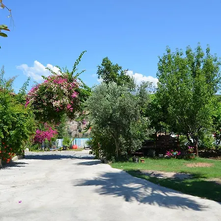 Apartment Beyoglu *
