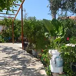 Beyoglu Patara