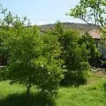 Beyoglu Patara