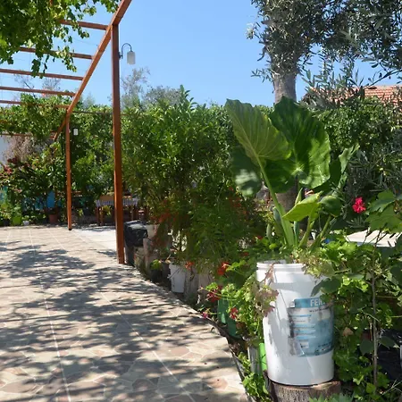 Beyoglu Patara