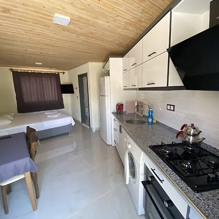 Beyoglu Apartment *